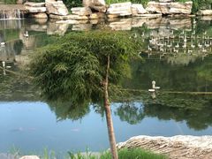-木兰水镇旅游景区