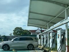 -上海都市菜园