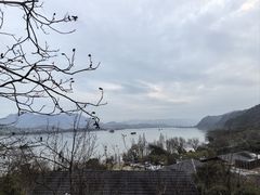 -芳草地度假酒店·野炉中餐厅
