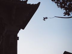 -梅城古镇