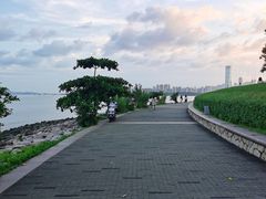 -深圳湾公园(南山区)