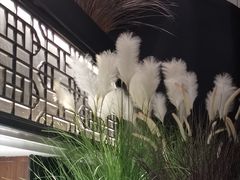 -荷栖小院·品质江西菜(红谷滩店)