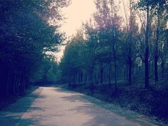 -赛汗塔拉风情园