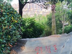 -枫香湖儿童公园