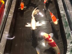 -太阳门淮扬菜(南京博物院店)