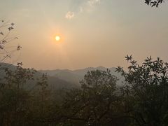 -风云岭森林公园