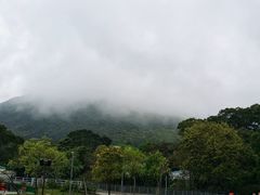 -天坛大佛