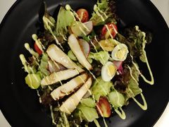 wkate&nbsp;salad-威克特披萨汉堡