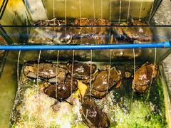 螃蟹-Isla Sugbu Seafood City