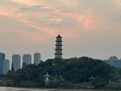 -江心屿景区