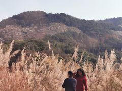 -福建天门山