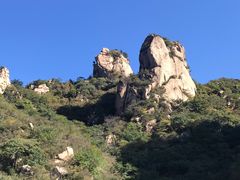 -大岭沟猕猴桃谷风景区