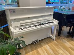 -柏斯琴行(汾阳店)