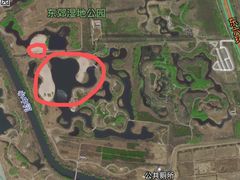 -东郊湿地公园