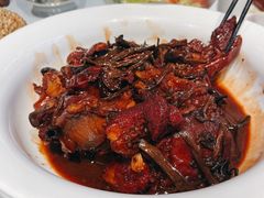 茶树菇炖肘子-正兴蜀园(科技园区店)