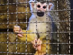 -成都浩海立方海洋公园