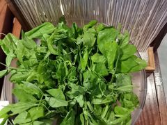 青菜拼盘-东来顺•非遗火锅(外滩店)