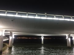 -演武大桥观景平台