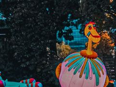 -杭州野生动物世界