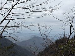 -天目山大树王景区