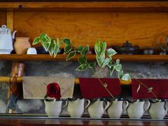 -白家寨子·山野白族菜(古城总店)