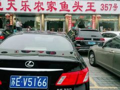 -天乐农家鱼头王(天目湖店)