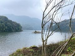 -广州市石门国家森林公园