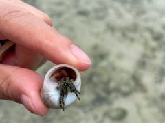 -三亚西岛海洋文化旅游区