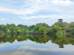 -张坝桂圆林公园