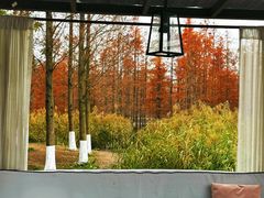 -白鹭湾湿地公园