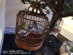 -小厨娘淮扬菜(六合欢乐港店)