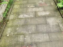 -重庆园博园