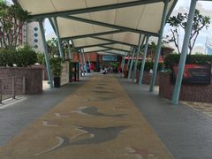 -新加坡水上探险乐园