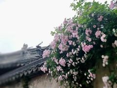 -秦园惠山豆腐花(惠山古镇店)