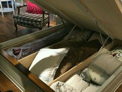 -剪刀石头布家居广场