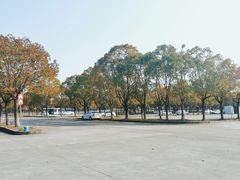 -安飞驰驾校·学车连锁(金高店)