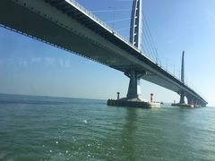 -港珠澳大桥码头