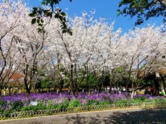 -白塘生态植物园