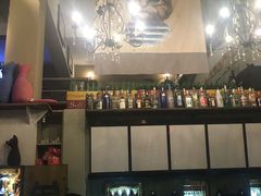 -猫咪博物馆(顶澳仔猫街店)