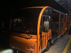 -夜间野生动物园