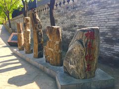 -大槐树寻根祭祖园