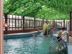 -金孔雀温泉旅游度假村