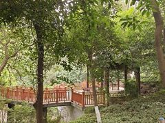 -忠山公园