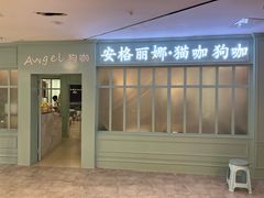 -安格丽娜·狗咖·猫咖羊驼咖(春熙路百盛商场店)