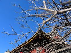 -五台山风景名胜区-罗睺寺