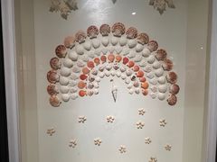 -青岛贝壳博物馆