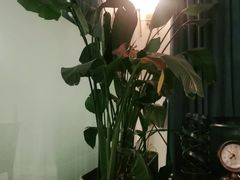 -IL Forno 意坊·意大利餐厅(花园店)