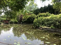 -嘉定紫藤园