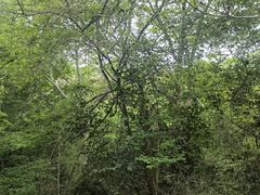 -敬亭山风景名胜区