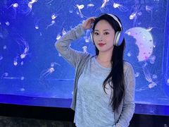 -合肥海洋世界